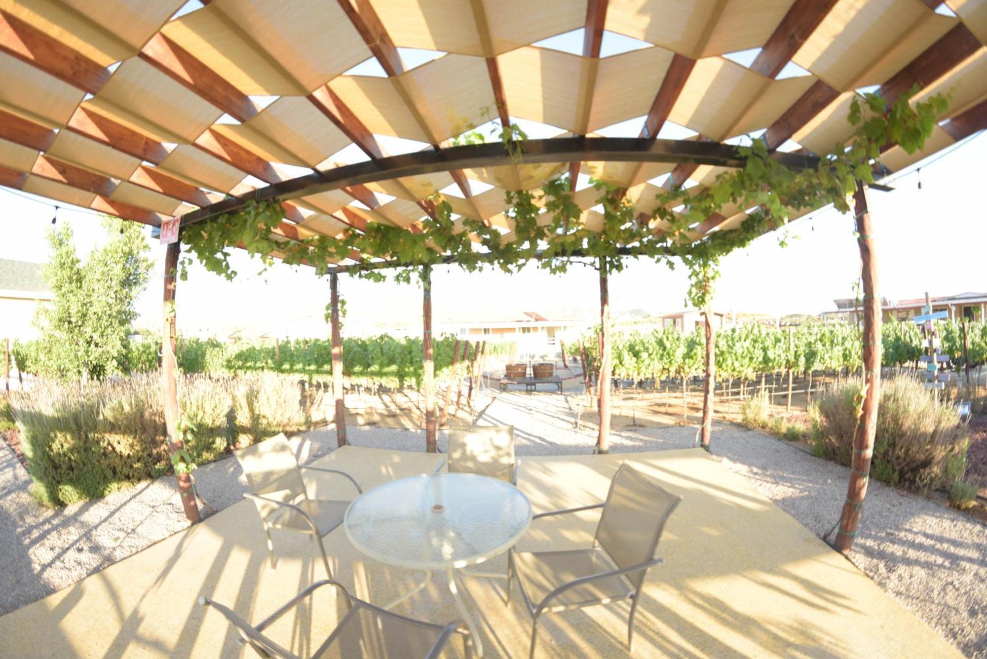 3333 Luz Del Valle Hotel Boutique Valle de Guadalupe Bagian luar foto