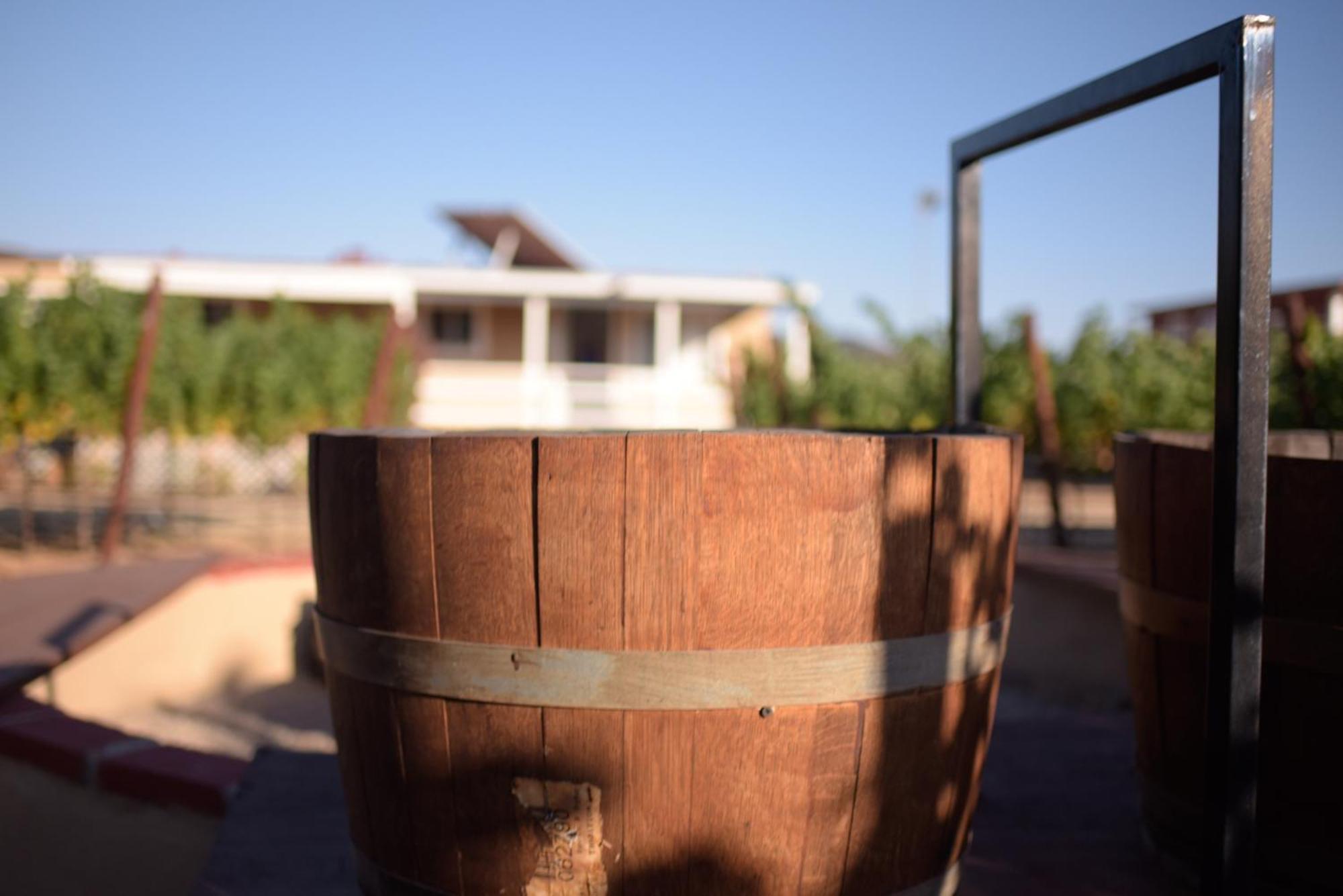 3333 Luz Del Valle Hotel Boutique Valle de Guadalupe Bagian luar foto